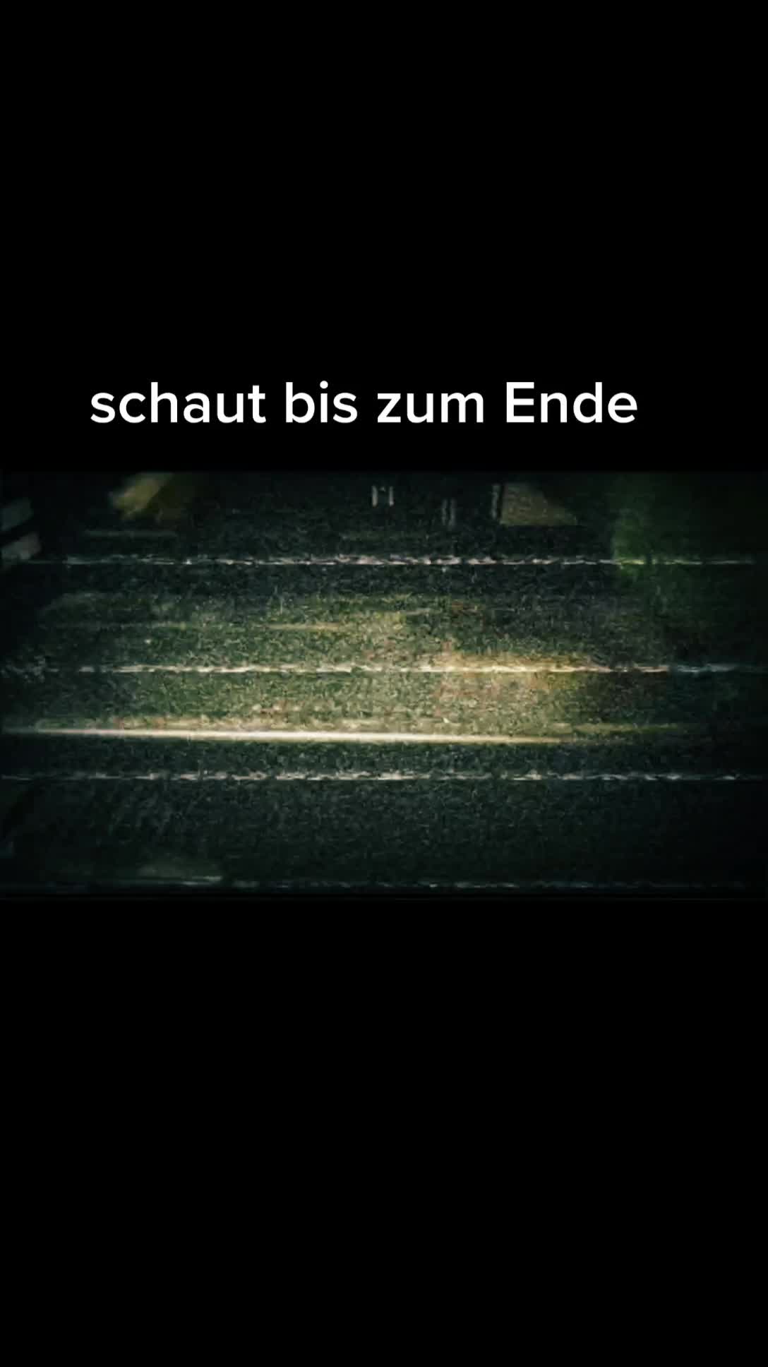 @Fini