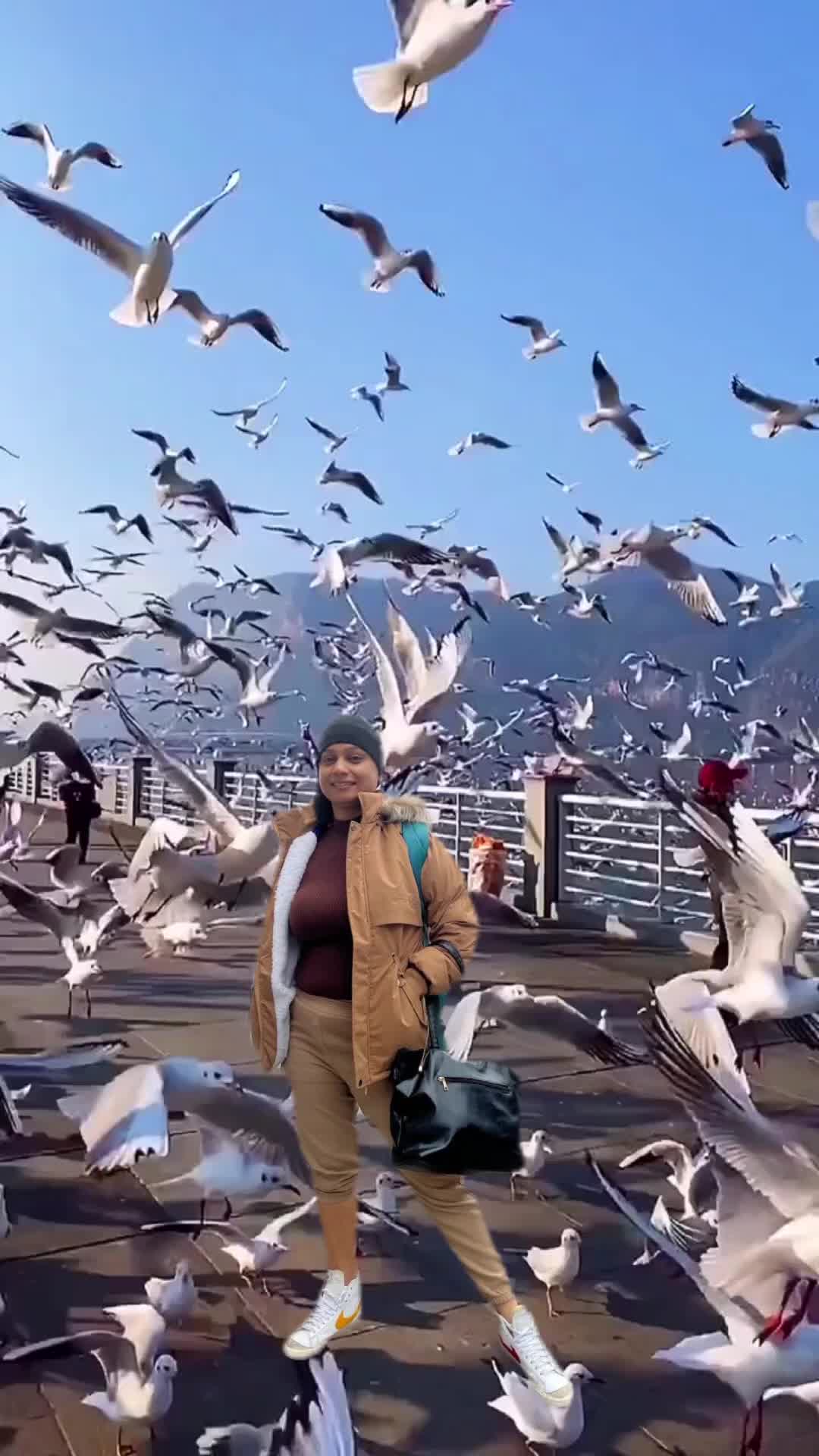 @Arohi1911