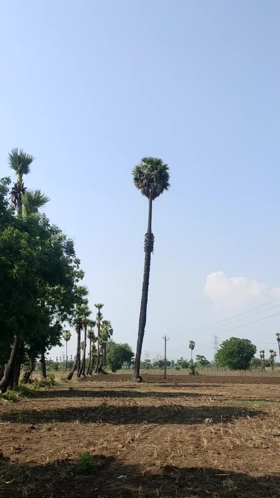 @ramarao chowdary