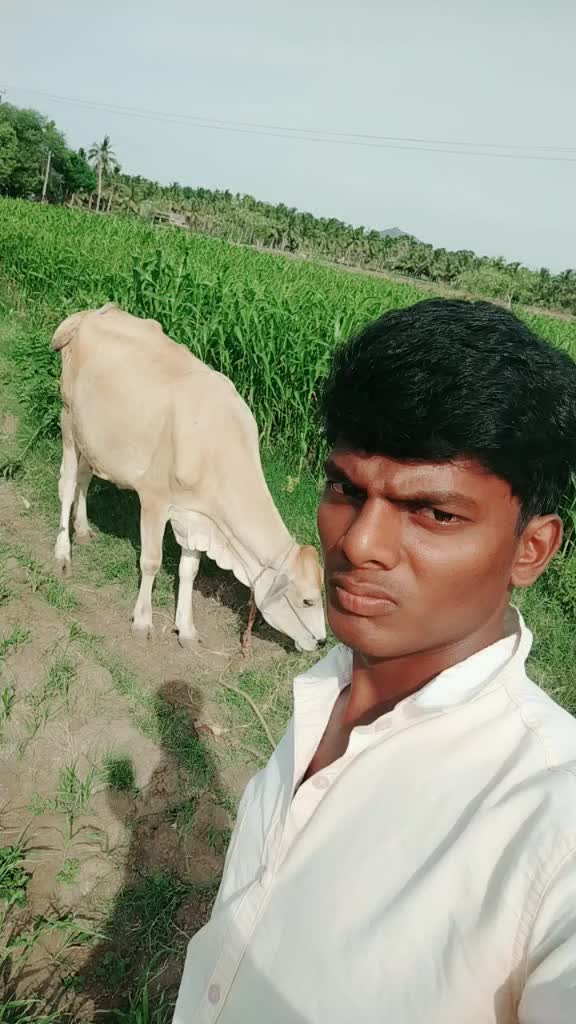 @maheshwaran
