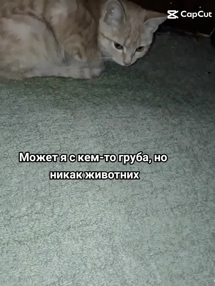 @~𝑈𝑙𝑡'𝑢