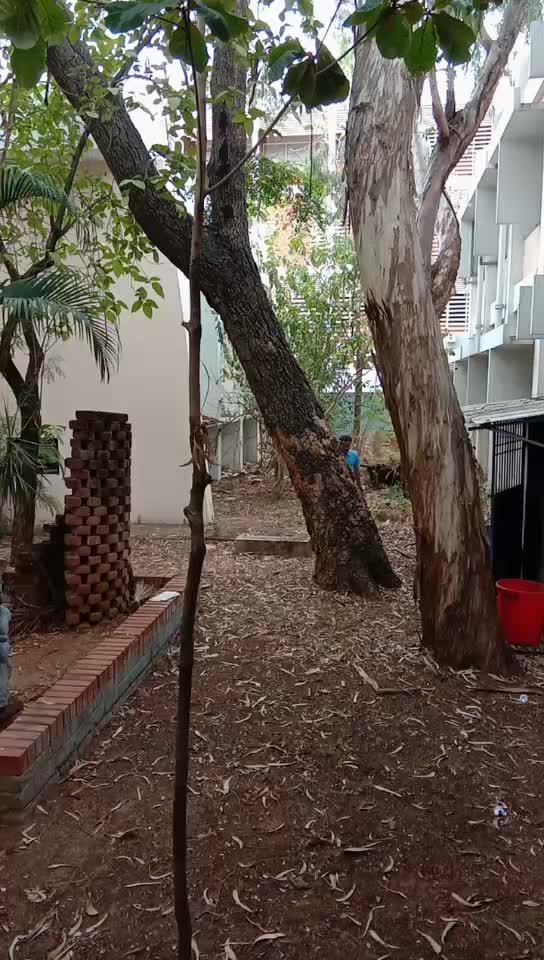 @கோ சரவணன்