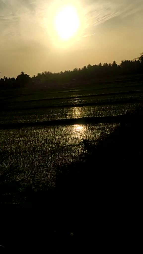 @Kalai Rohit
