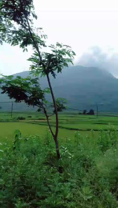 @puja barik baby