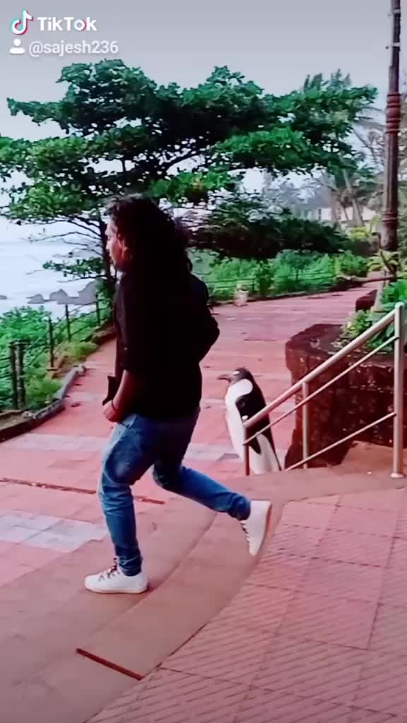 @🤩മുടിയൻചെക്കൻ 🤩