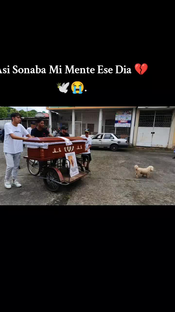 @️Eythan🐒