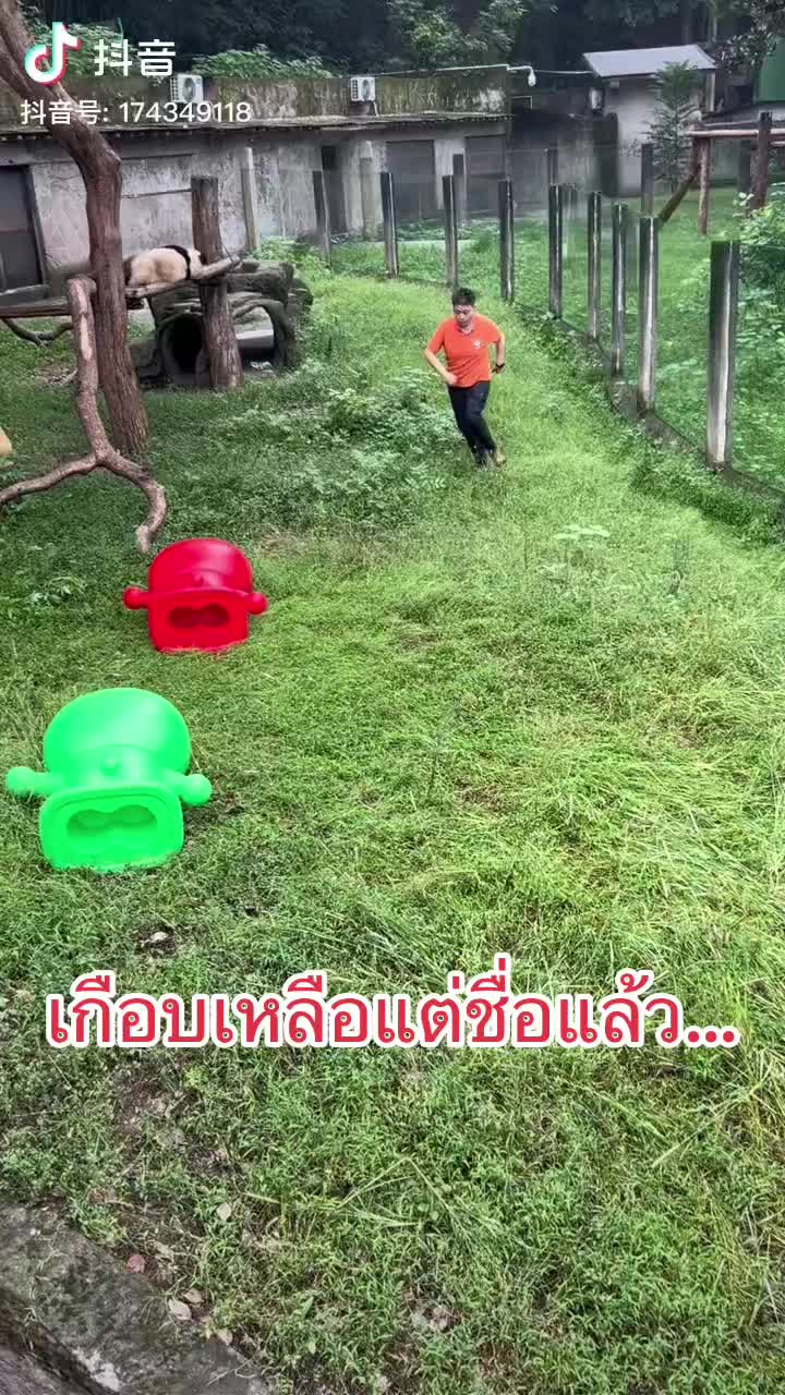 @Jinney55