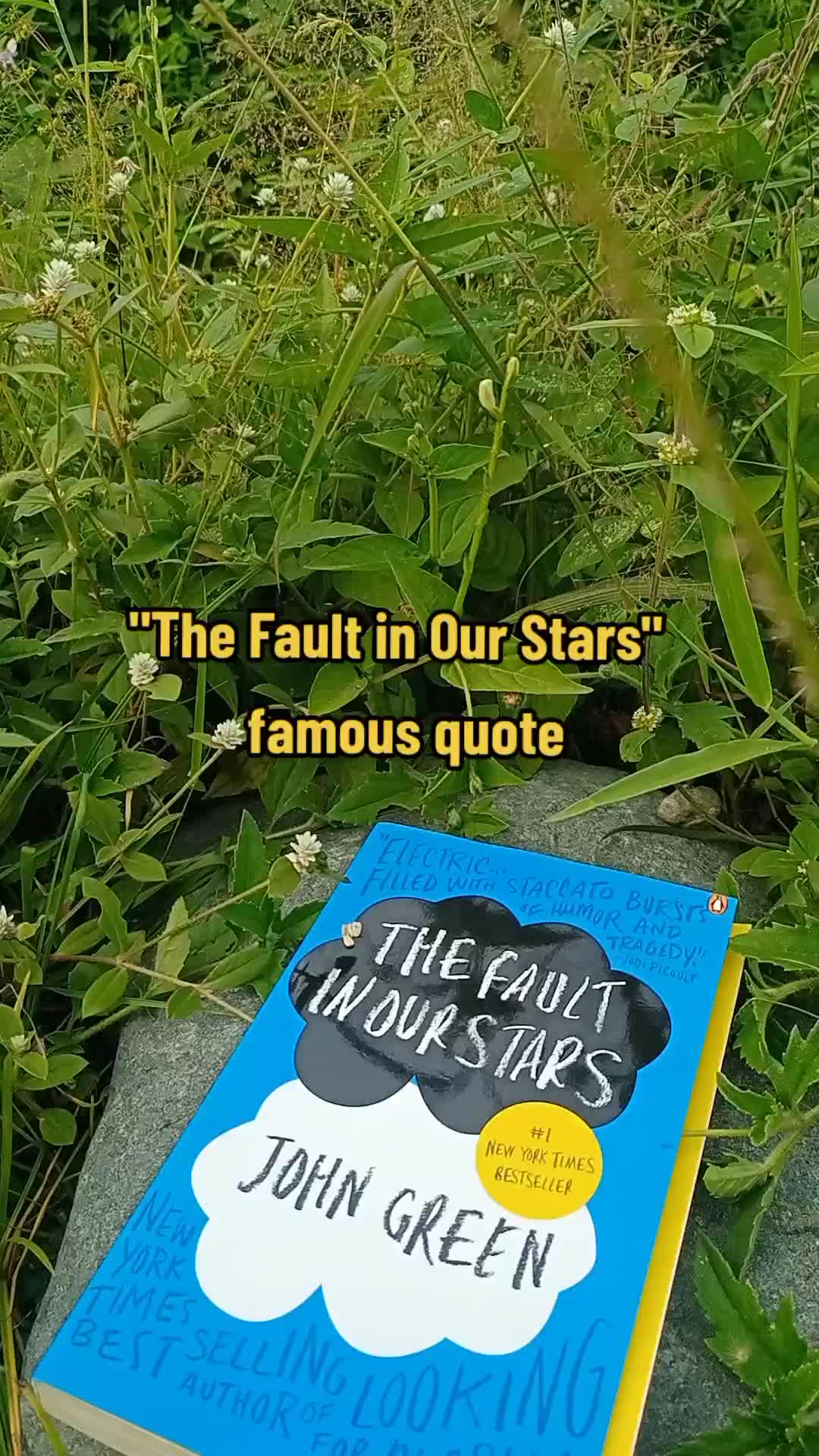 @bookview