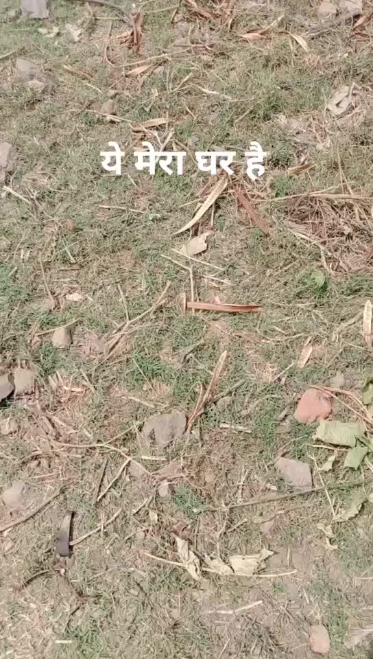 @Abhishek Kushwaha