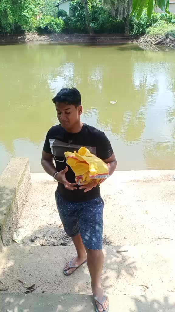 @Surya Parhi