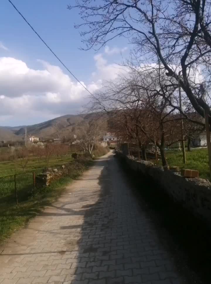 @🌼🍀