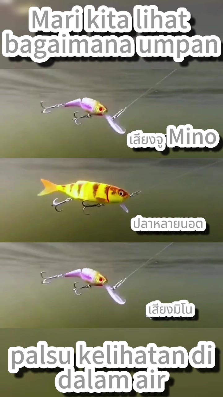 @ตกปลา