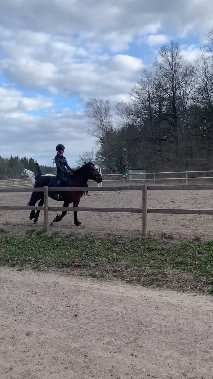 @Horses♡