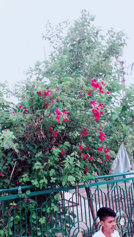 @Ajju Bhai