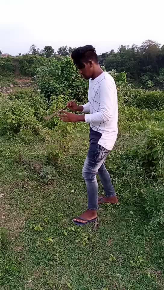 @user7725882975576
