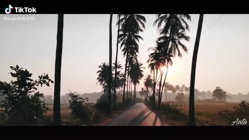 @Kamal Raj