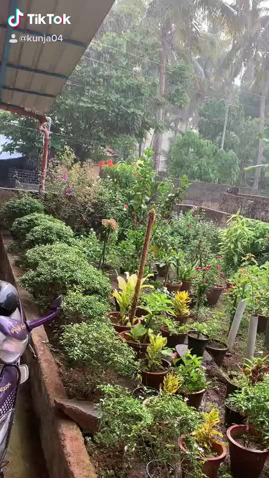 @user8851668325780