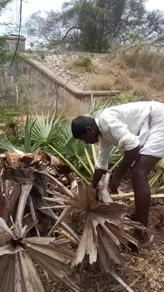 @Raja Raja