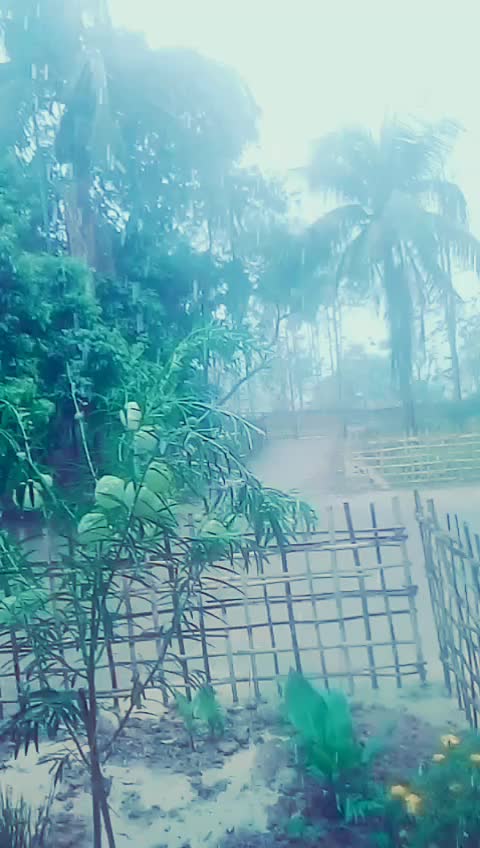 @Juri Saikia Nupur