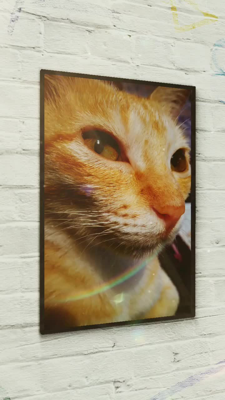 @കുഞ്ഞി..🐈