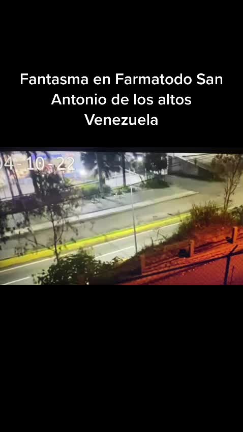 @chinodirector