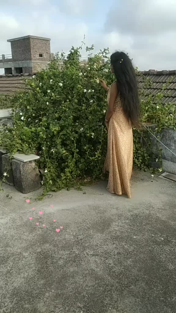 @vaishupatel