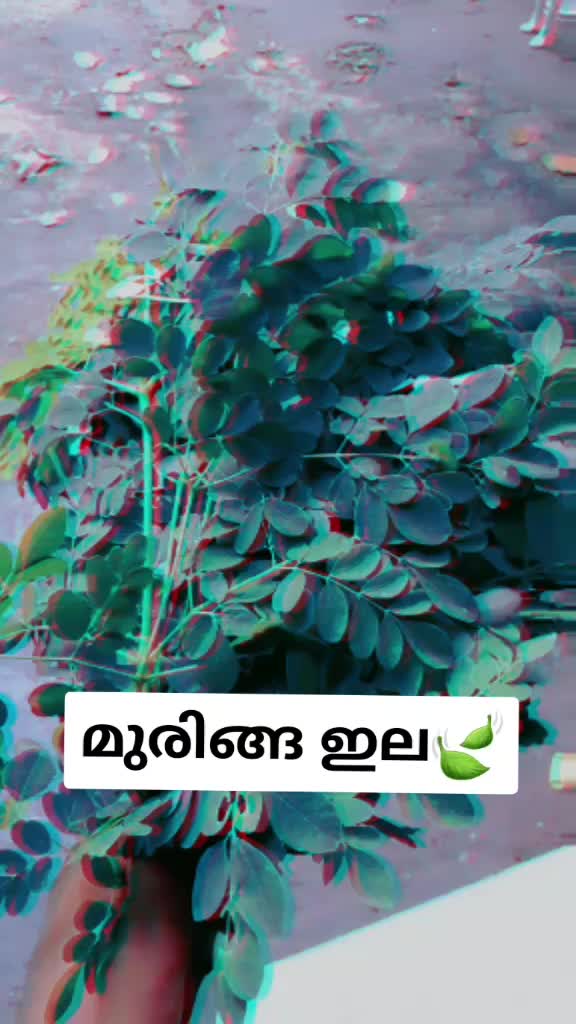 @Aani Achu