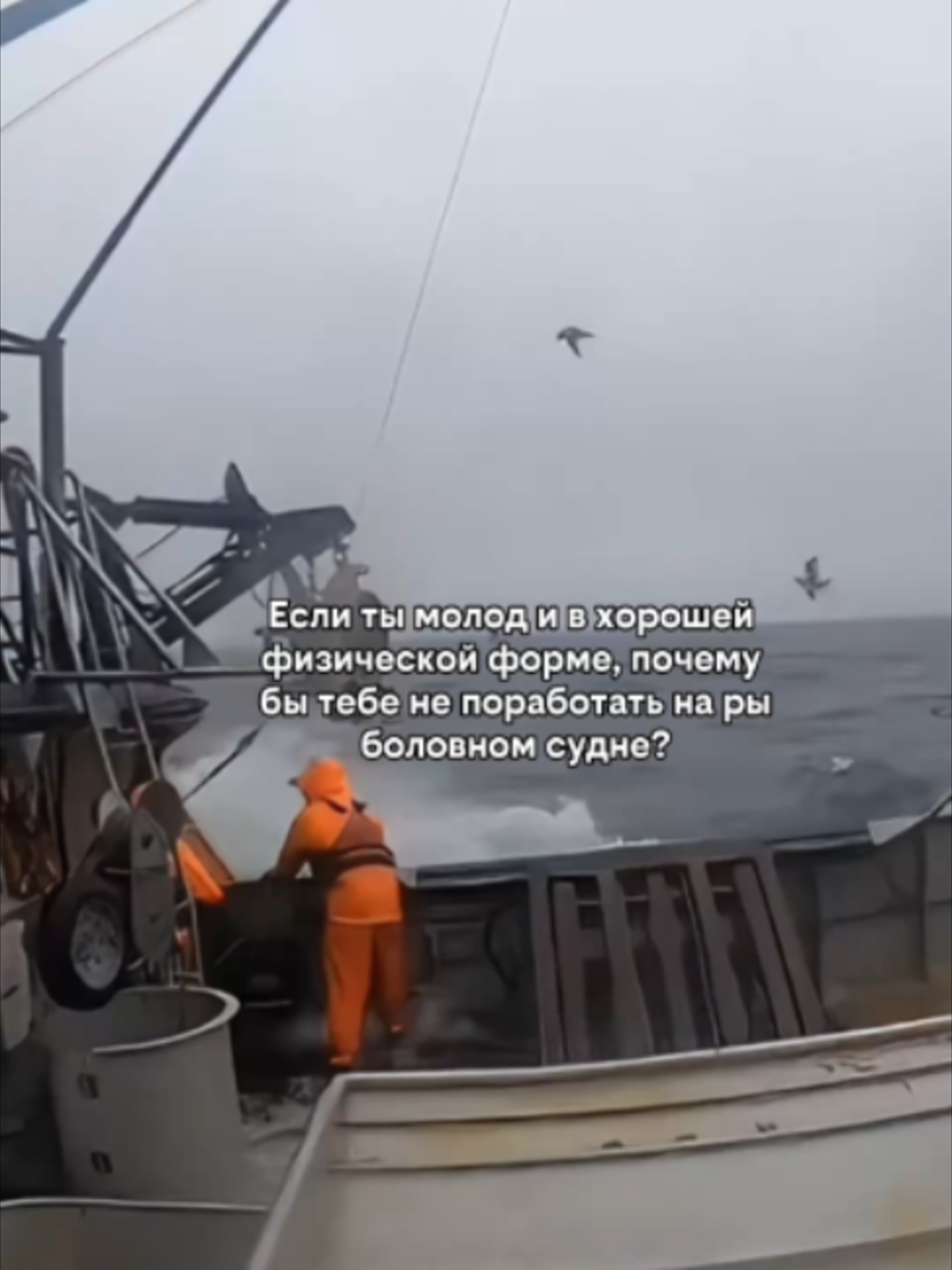 @Краболов Матковский Алексей