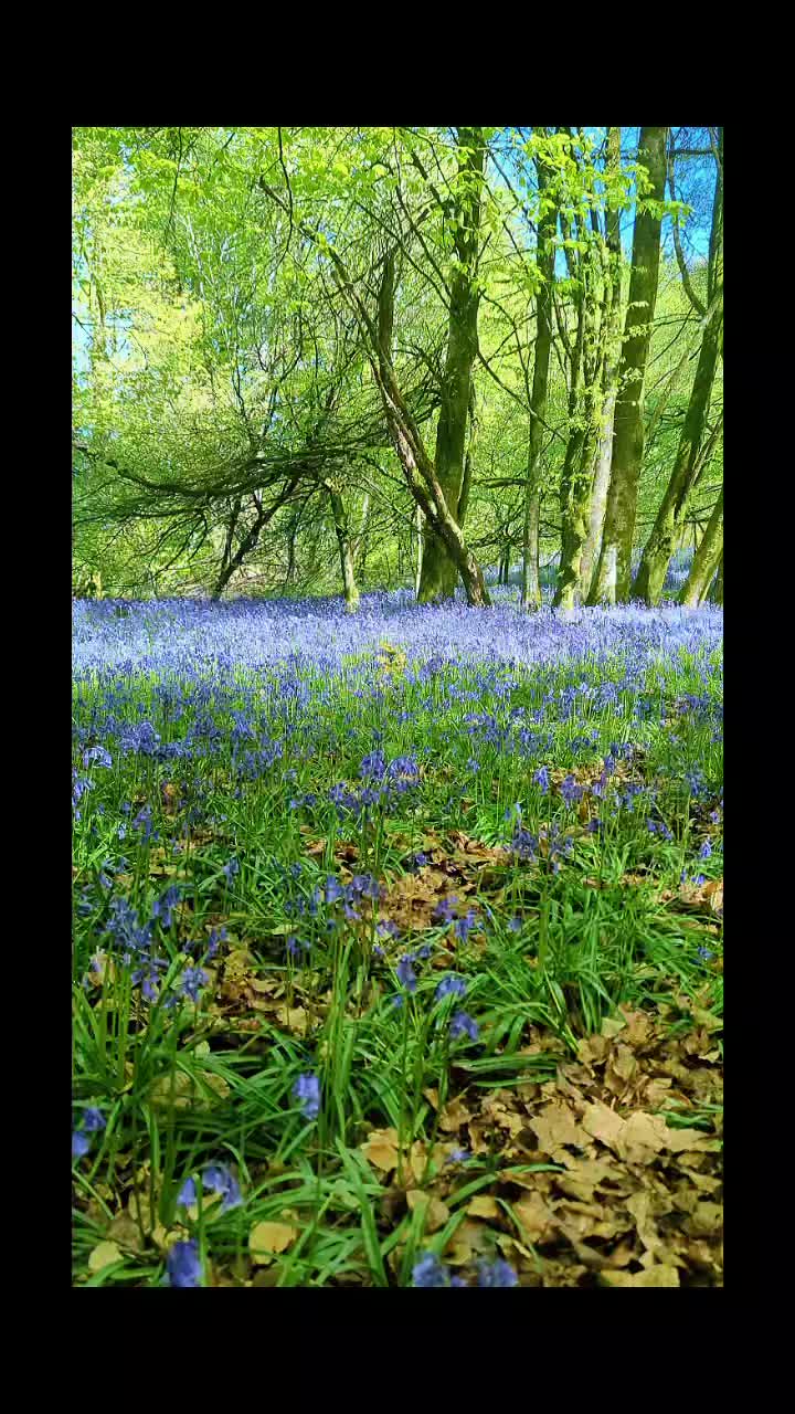 @michelle🏴🇮🇪