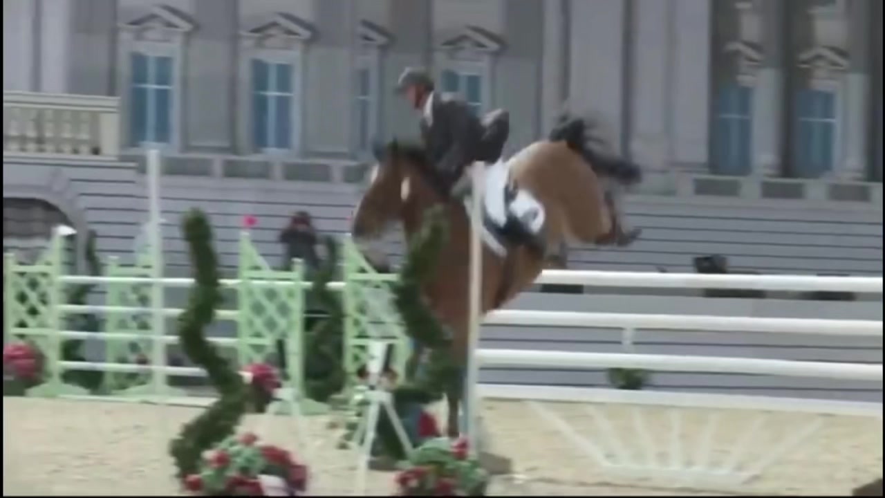 @Horses