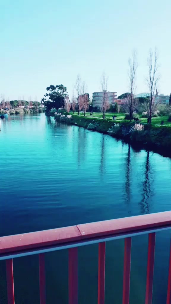 @naghmouchi06150