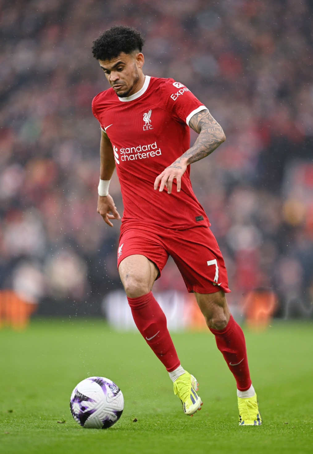 @lfc_comps