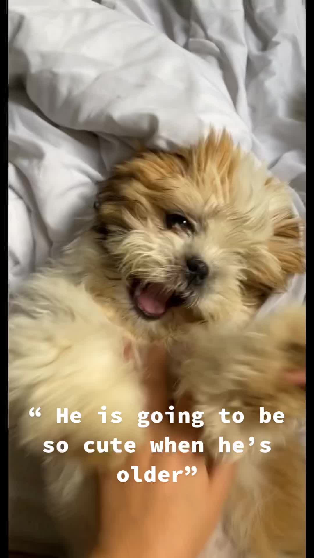 @C