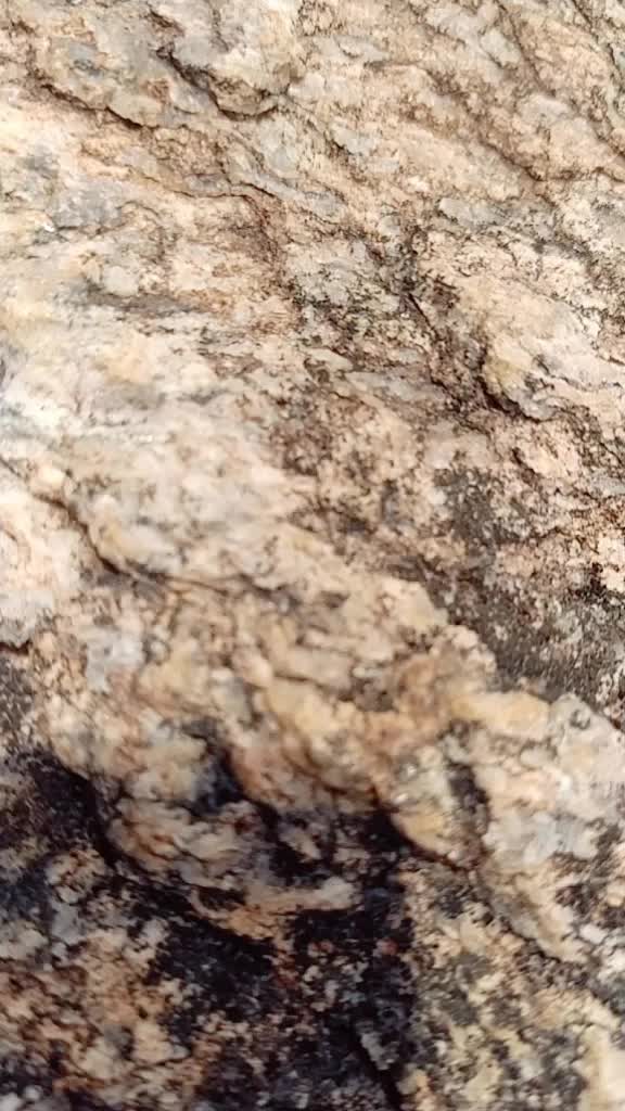 @pûñîth_dølly_👿