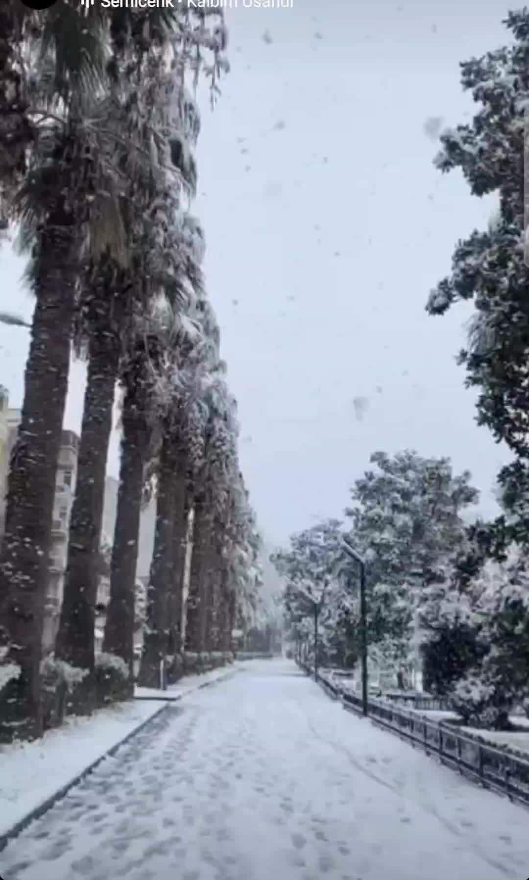 @Hakkı Akg&uuml;n