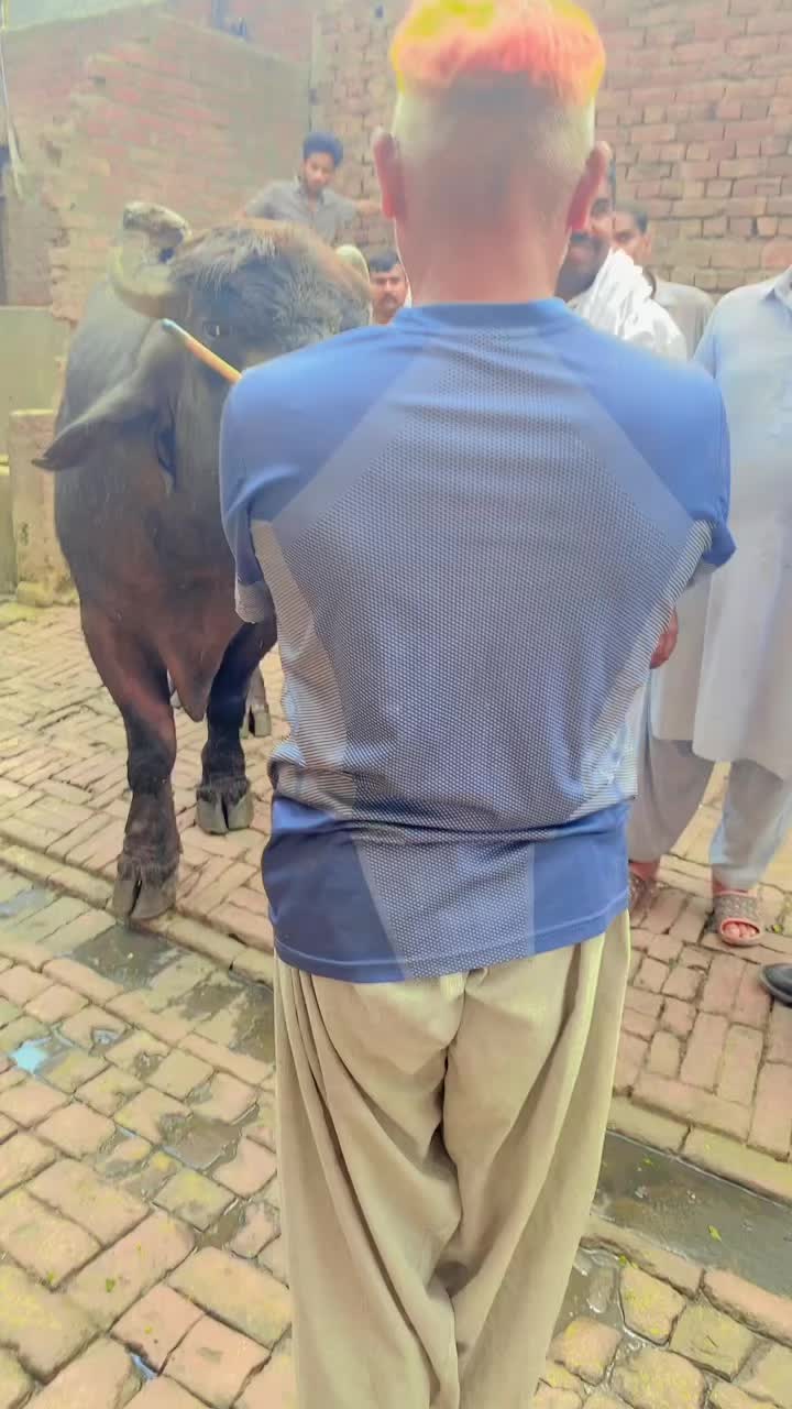 @Ali Hassan gujjar