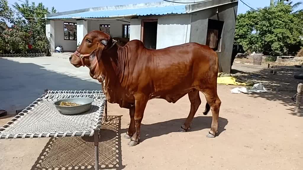 @Hardik8920