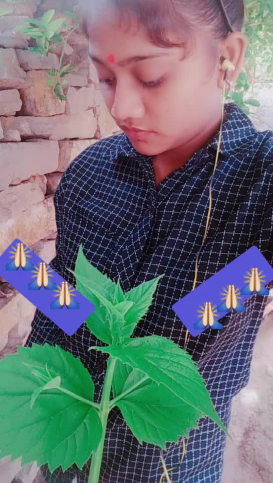 @હર્ષા ઠાકોર