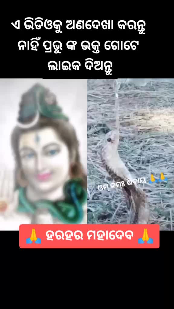 @pramod sahu