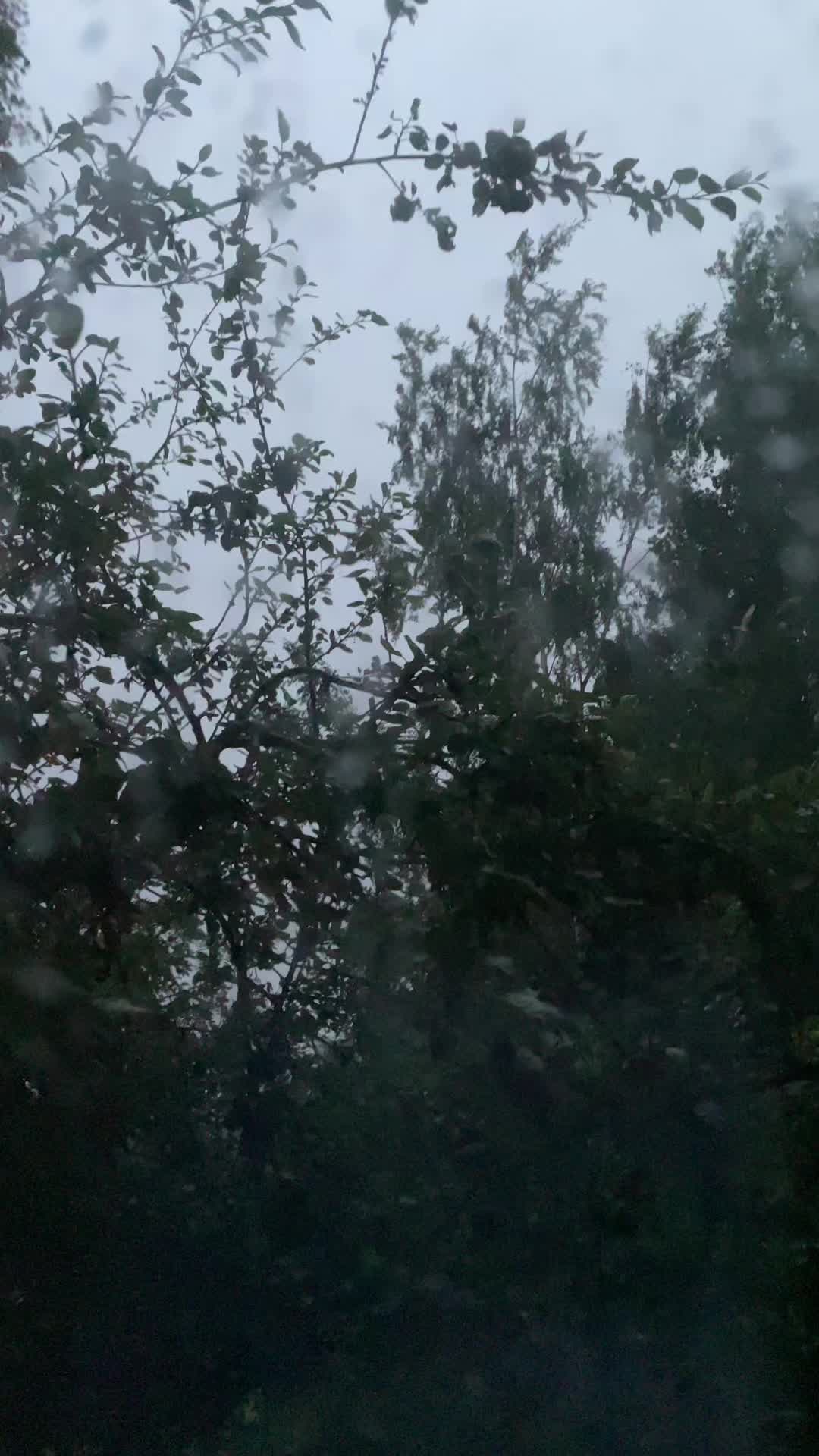 @асина ч