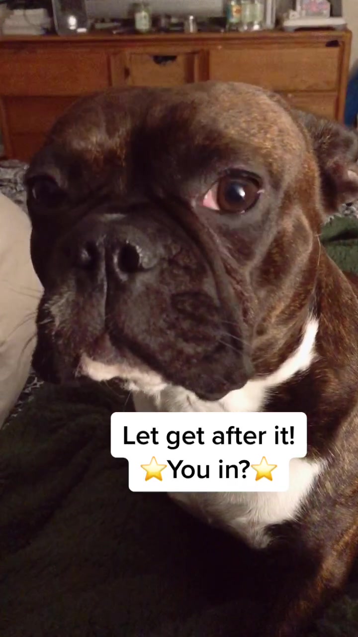 @wildlywinston