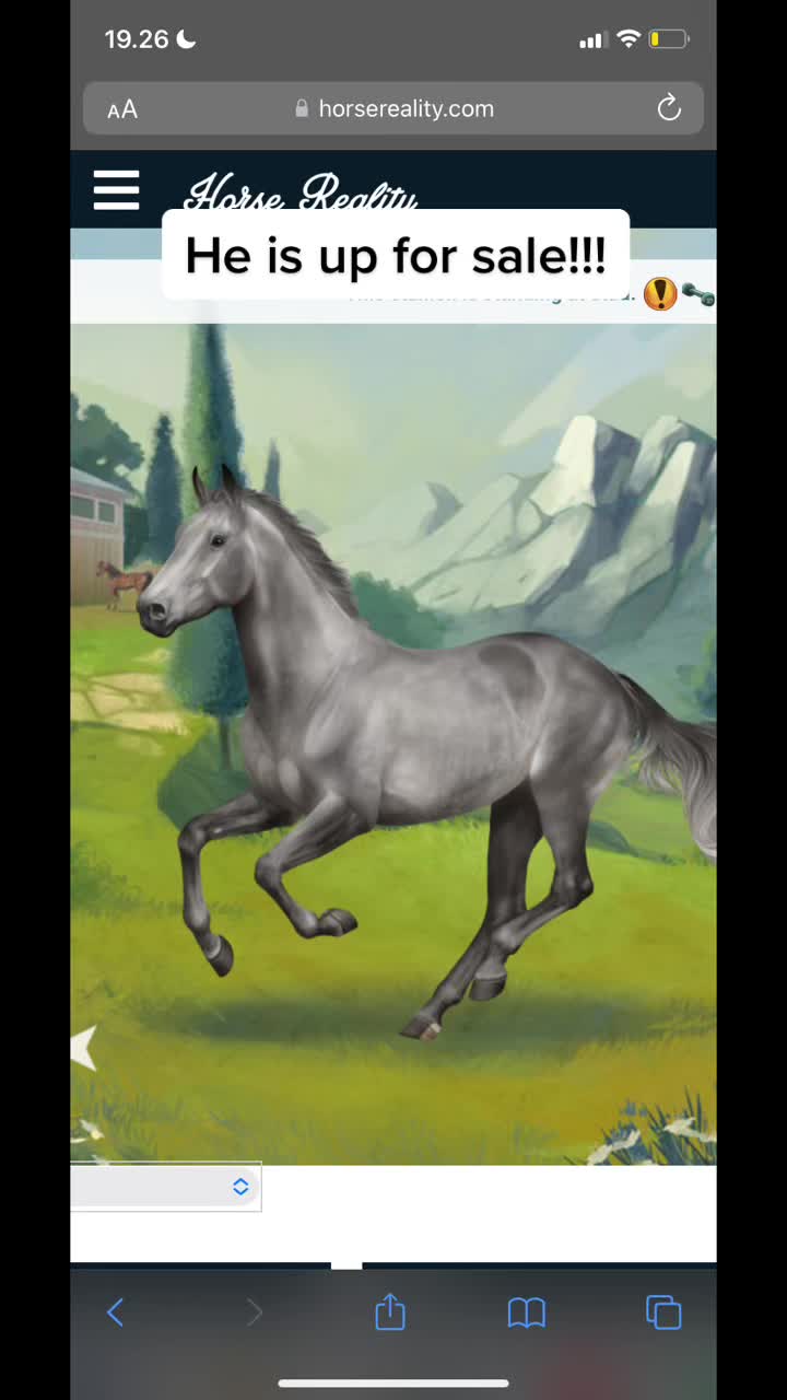 @Horse reality🤍