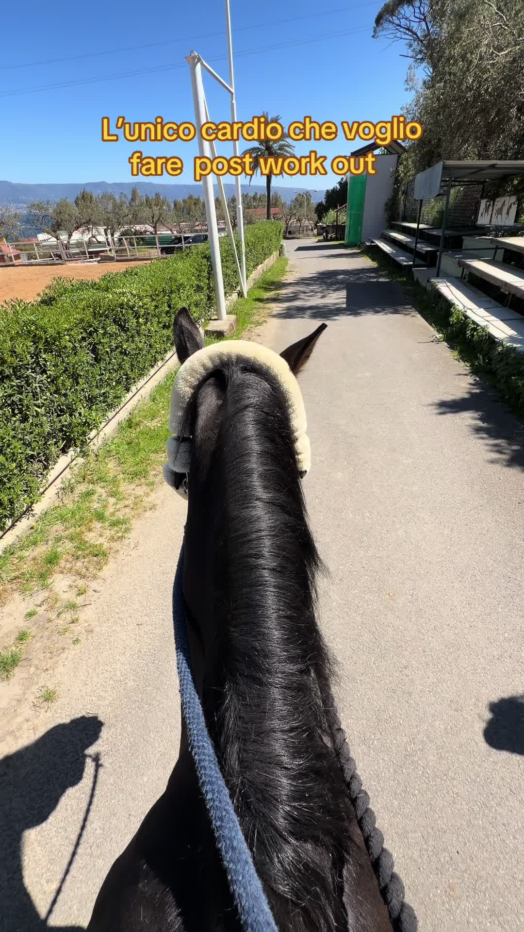 @Rita De Domenico