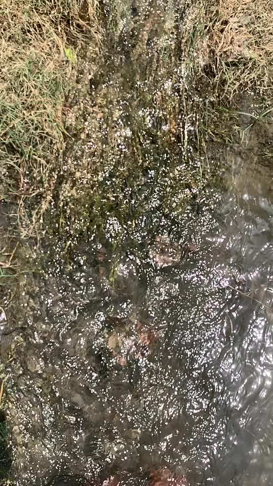 @jagjeet singh2626