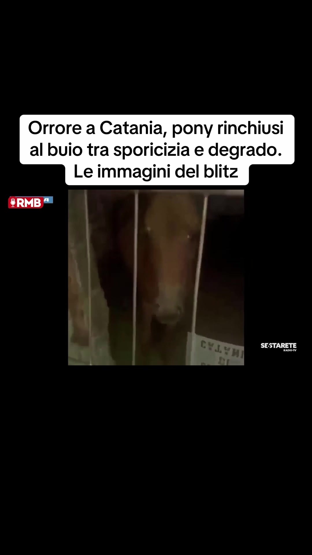 @Edoardo Picone | Giornalista