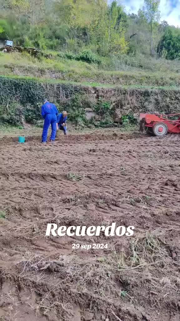 @freixo