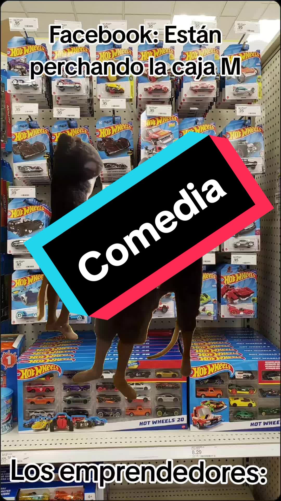 @Hot Wheels Collectors Ecuador