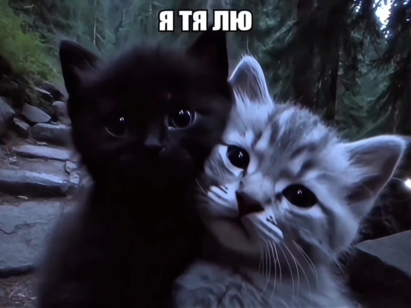 @w1wxdg'