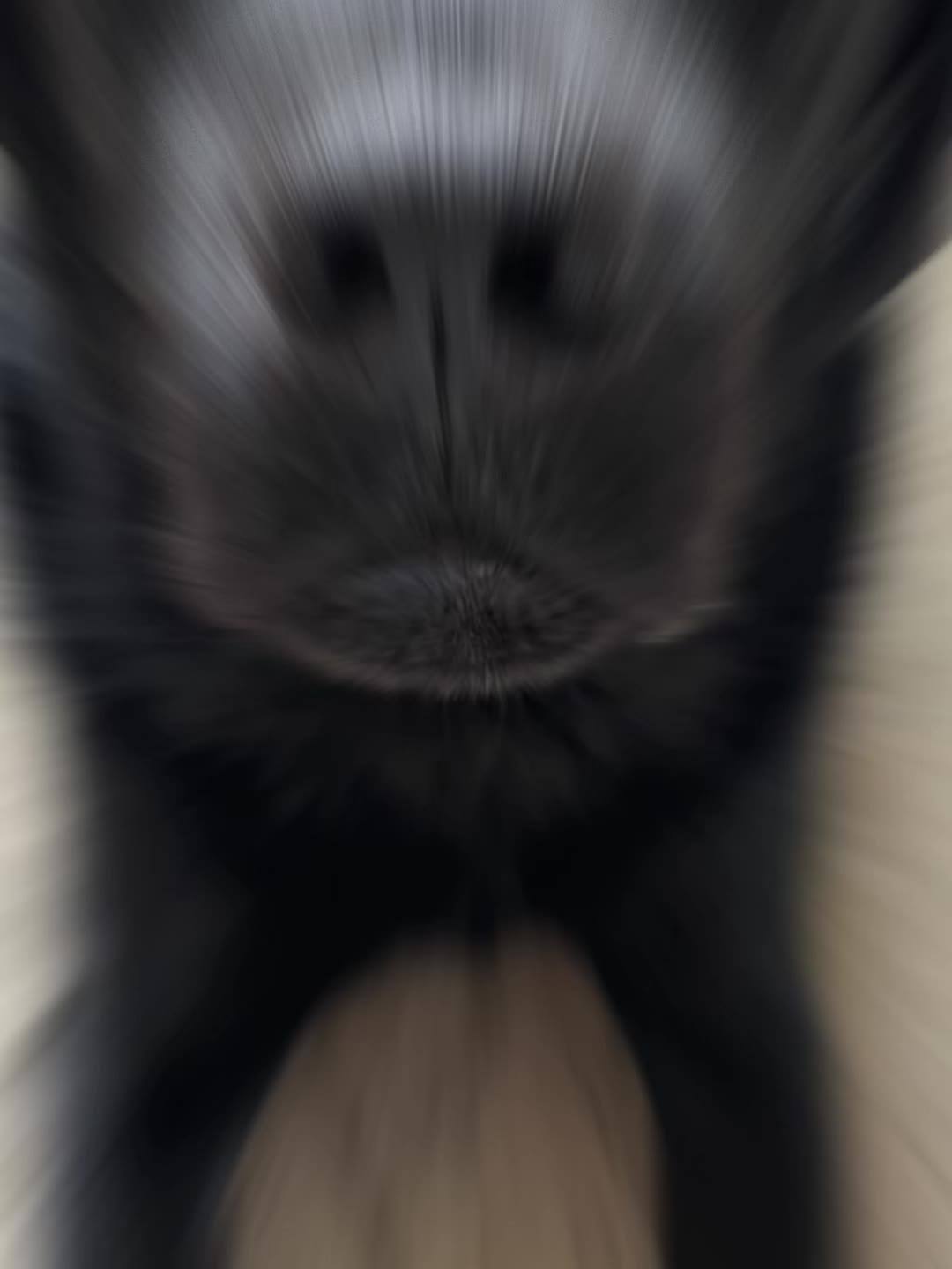 @BUDDIE