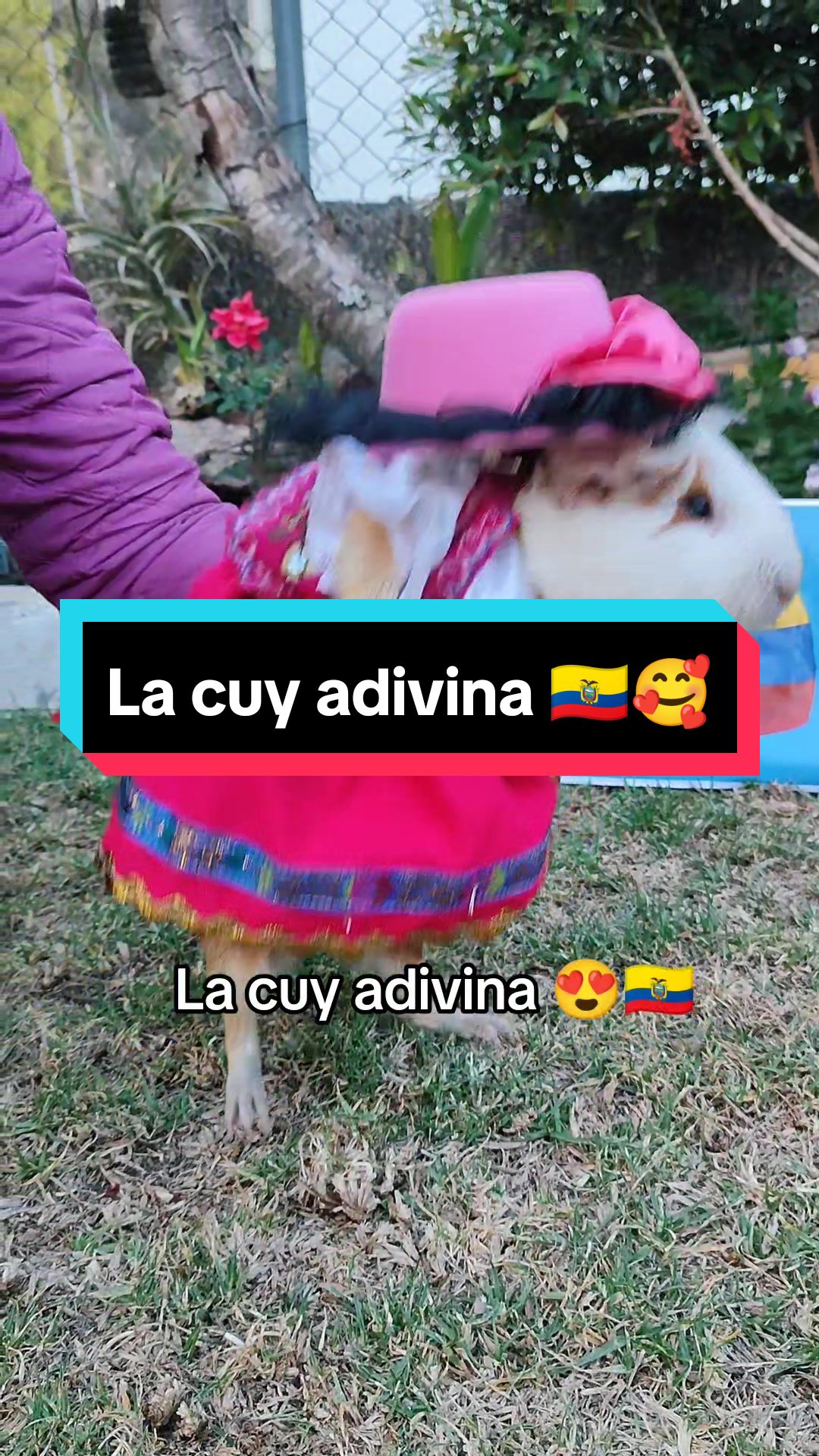 @La cuy adivina